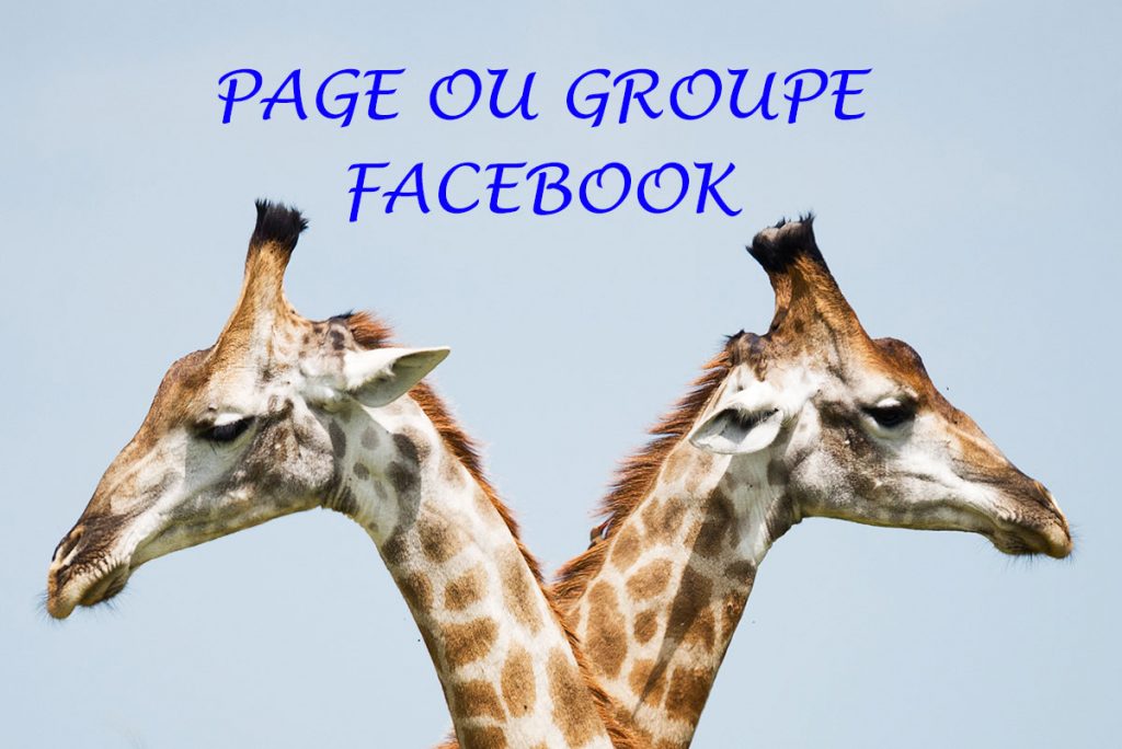 Groupe ou page Facebook : quelles différences ? Faut-il choisir entre les deux ?